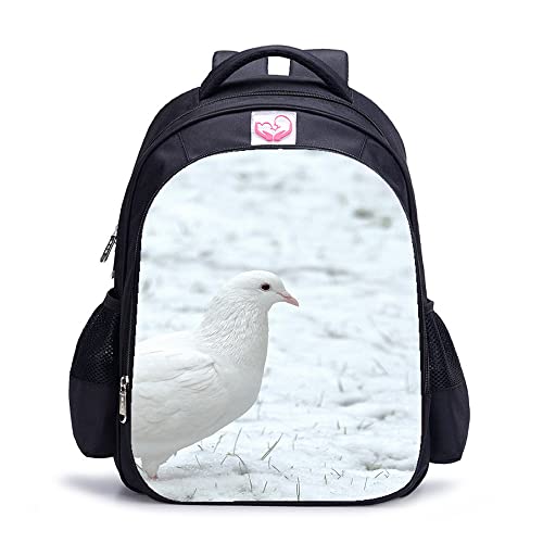 Sac d'école ado ergonomique pour en finir avec les cahiers froissés 16"