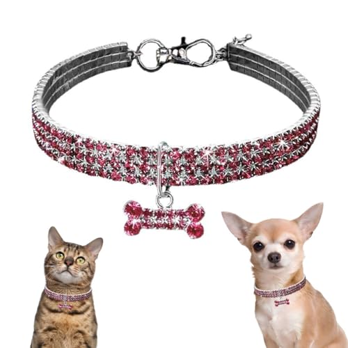 sN CXg[ hbOJ[ ^ _Ch Lbg lbNX WG[ NX^ Ob^[ `F[ WG LL q̎ ty_g XXS XS ^ ȃybg   ̎q qLAS