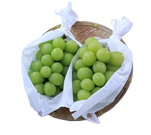 Alice  シャインマスカット2kg✖️2 シャインマスカット 2kg｜shiba grape farm | shiba