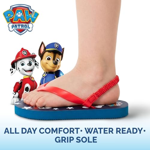 Image of Nickelodeon Girls Boys character flip flops sandals kids water shoes - Paw Patrol Blues Clues Baby Shark - thong beach slides summer slip on quick dry toddler little kid