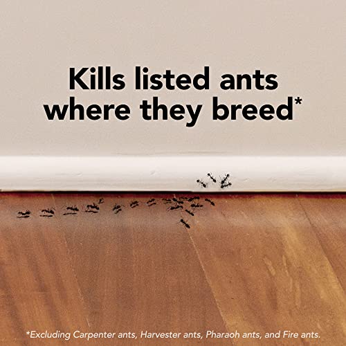 Raid Ant Killer Baits and Traps, Kills Ants Where They Breed, for Indoor Use, Child Resistant, 4 Bait Stations image 8