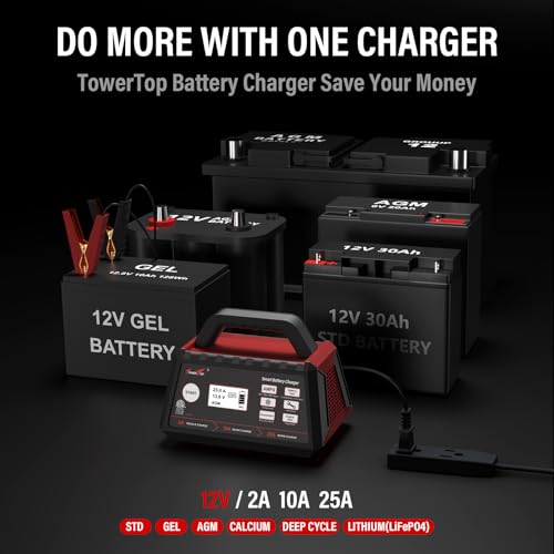 TowerTop 25A Smart Charger