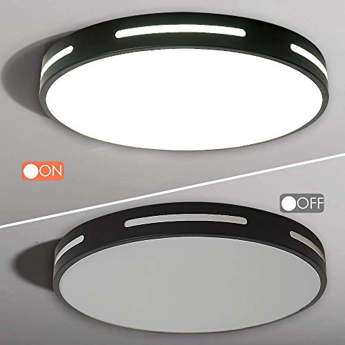 Ganeed LED Flush Mount,Modern Ceiling Lights Fixtures Round Hollow,6500K Cool White Living Room