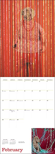 William Wegman Big And Little 2023 Wall Calendar #TOP2