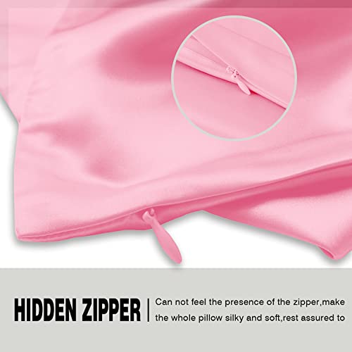 Silk Pillowcase for Hair and Skin,Soft,Breathable and Sliky 100% Queen Silk Pillow Case Set of 2,Both Sides Natural Mulberry Silk Pillowcases with Hidden Zipper(Queen Size 20"X 30",2pcs)