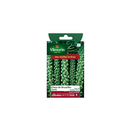 Vilmorin - Sachet graines Chou de bruxelles SANDA