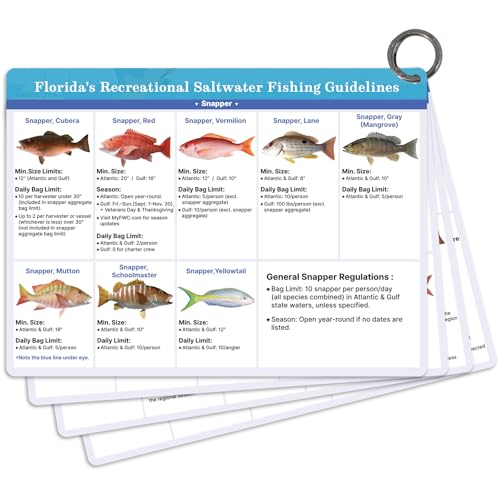 OCQOTAT Florida Saltwater Fish& Shark Identification Set–4 Double-Sided Waterproof Quick-Reference Fishing Guide Cards with FWC Rules,Size Limits&80+ Fish&Sharks in Real Photos| Ring Binding,8.2x6inch