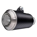 Endschalldämpfer Kit LeoVince LV-10, Carbon, Edelstahl Kappe, Ø 54mm, rechts, universal