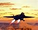 US Navy M F Winter F-14D Tomcat Jet Aircraft Aviation Art Print Poster (16x20)