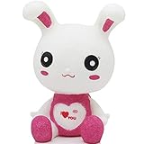 H&W Lovers Bunny Coin Money Bank, Shatterproof Rabbit Piggy Bank, Creative Money Bank, Can Store 800 Coins, Best Bitrthday Gift, Red (WK21-D3)