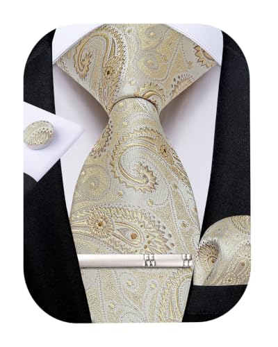 Image of DiBanGu Silk Floral Ties for Men Woven Paisley Necktie and Tie Clip Handkerchief Cufflinks Set for Party Wedding