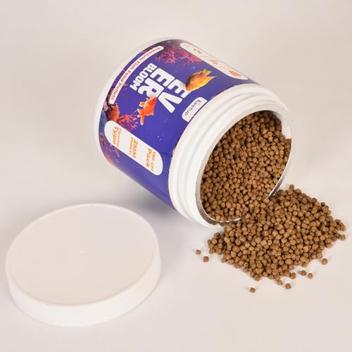 Image of EverBloom Premium Fish Food Pellets (2MM) Fortified with BSFL Protein, Omega 3 & 6, Calcium & Immunity Boosters | No Artificial Colours | Floating Pellets for All Aquarium Fish (150g)