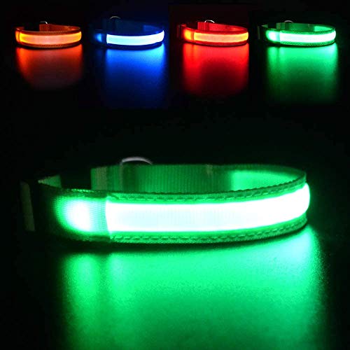 MASBRILL LED Dog Collar, Rechargeable & Waterproof (Green M)
