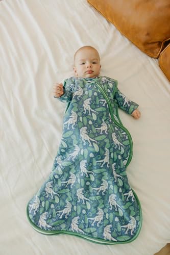 Image of Copper Pearl Baby Sleep Sack, Jurassic Park - Wearable Blanket for 0-6 Months, Sleeveless Sleep Sack for Baby Boy or Girl