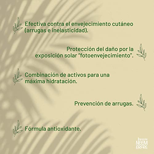 Higiene Bucal Y Dental, Guild Imagen adicional