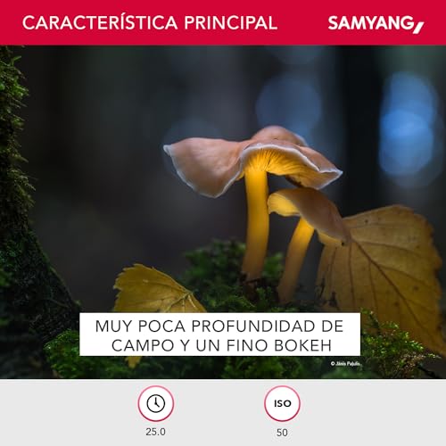 Objetivo Samyang 135mm f/2 para cámaras Sony E - Fernando Cortés