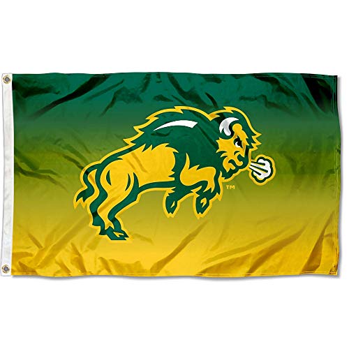 North Dakota State Bison Two Tone Gradient Flag