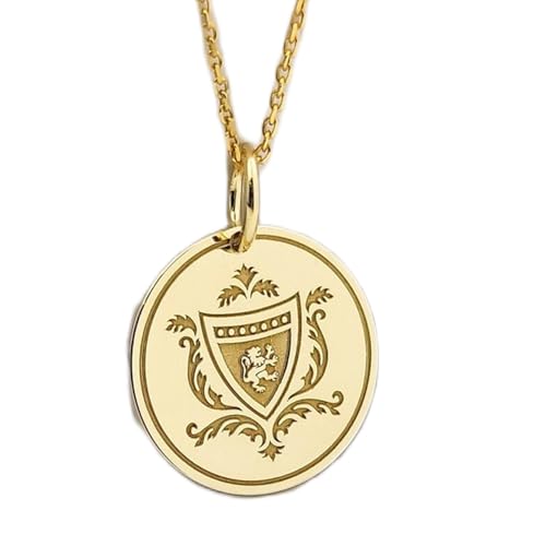 Collier pendentif pièce gravée griffon LKBEADS en argent plaqué or et chaîne 45cm pour homme femme