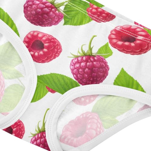 Girls Underwear Toddlers 2t Cotton Girl Panties Cute Colorful Briefs Kids Undies Red Raspberries Green Leaves White4