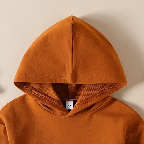 Toddler Unisex Baby Clothes Boys Girls Shirt Tops Plaid Hoodie Sweatshirt Fall Winter3