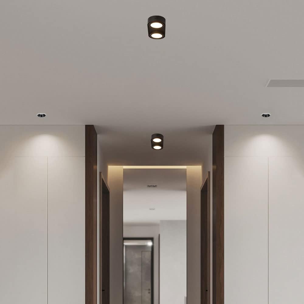 Siet LED Ceiling Downlight 2-Light Surface Mounted Lighting Fixture, Aluminum Directional Spotlight Accent Lamp, Modern Ceiling Downlights for Corridor Living Room Bedroom
