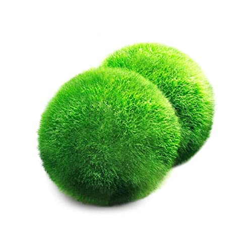 sonnenschirm blumenkasten Unopiu I Solaire 2 Anbaublumenksten mit Rankgitter & Verbindungsstang   GartenStuhl