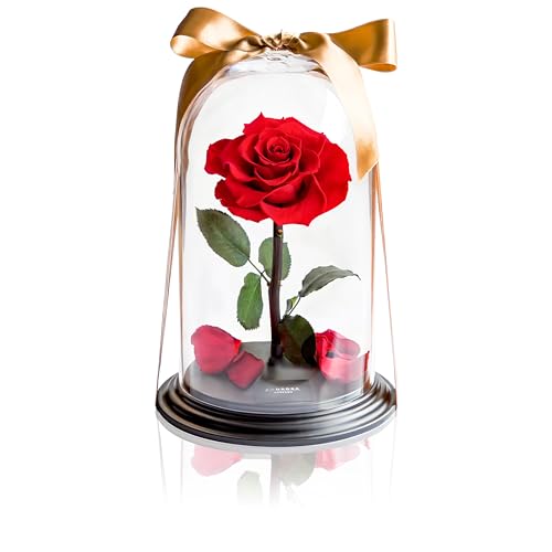 ハンサムガイ プリザーブドフラワー ローズギフト