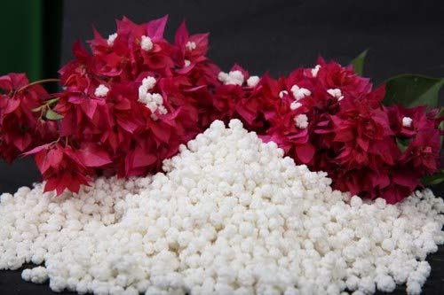 Being Marwari Speciality Prasad Dana ( Sweet Makhana), 100g