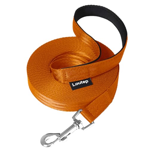 Loutep Schleppleine Für Hunde Lange Leine 3m 5m Schleppleine 10m Für Hunde 15m 20m 25m 30m Hundeleine Für Kleine Mittel Große Hund Langlaufleine Wasserfest Leicht Laufleine