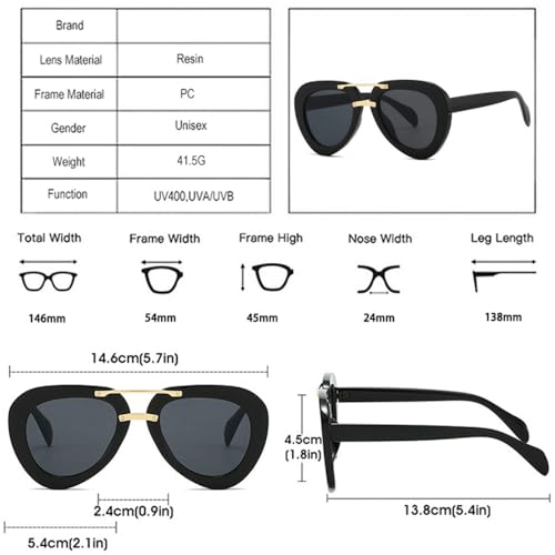 Lunettes de soleil nuances dégradées à la mode design double pont
