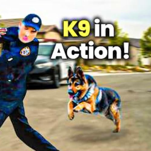 Page de couverture de Top Police K9 Takedowns & Captures Caught on Bodycam