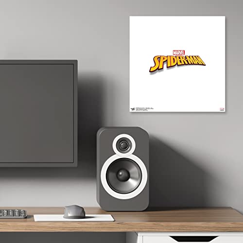 Poster Marvel Comics Spider-Man 30,5 cm Gallery Pops pour une décoration murale modulable - 6