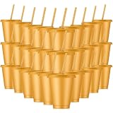 Rtteri 30 Pcs Reusable Plastic Cups with Lids Straws 16 oz, Gold