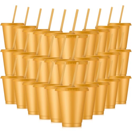 Rtteri 30 Pcs Reusable Plastic Cups with Lids Straws 16 oz, Gold