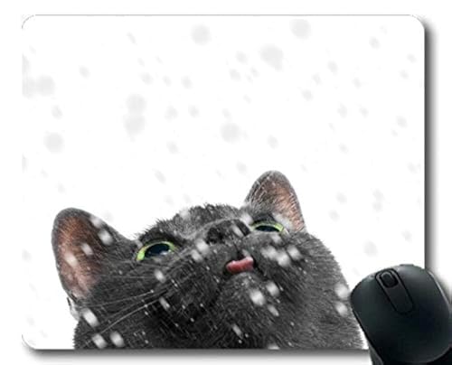 Q[~O}EX}bgAybg̍~L̃}EXpbhARs[^cat178̃}EX}bg