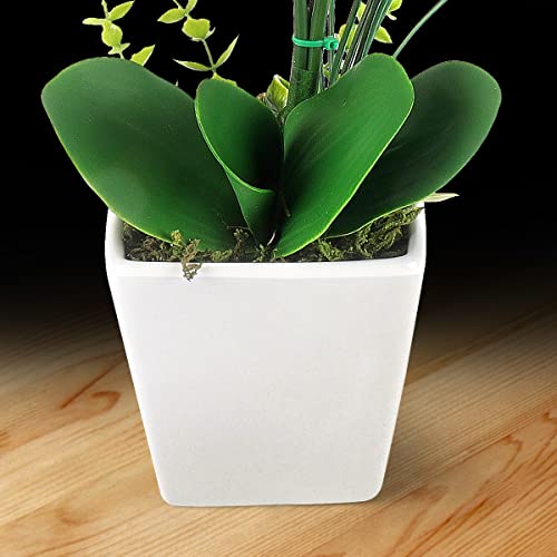 Xcw Fake Orchid Flowers Bonsai Artificial Orchids Flowers With Flower Pots Phalaenopsis Flowers Arrangements For Home Office Decoration (Rose Purple) #TOP6