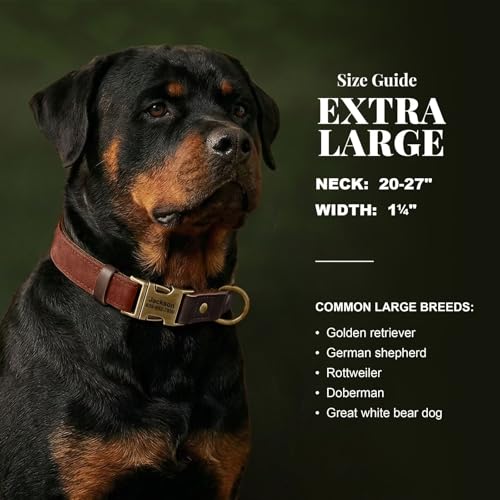 Image of Personalized PU Leather Dog Collars,Quick Release Buckle,Brown,XL