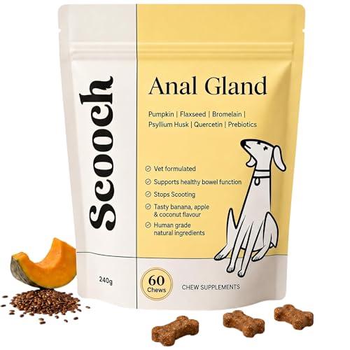 Scooch Anal Gland Supplement for Dogs — Fibre Chews Dogs Actually Eat | Banana, Apple & Coconut | Supports Firm Stools & Natural Gland Emptying | Plant-Based, Grain-Free | 60 Chews
