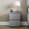 Vida Designs Denver - Comodino con 2 cassetti, colore: Grigio #2