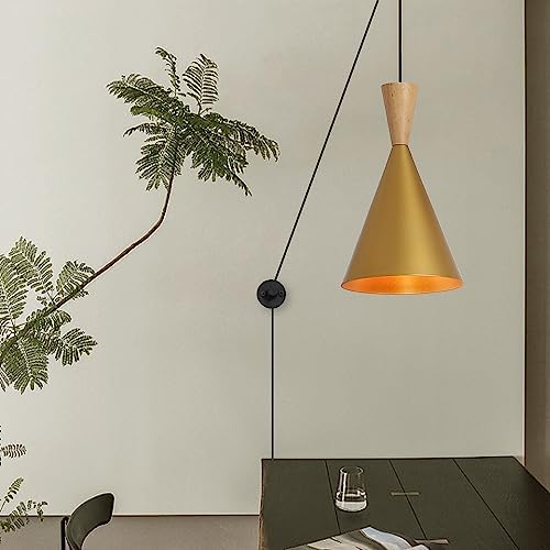 LUSTORM 1 Mid Century Modern Gold Plug in Pendant Light Fixtures with