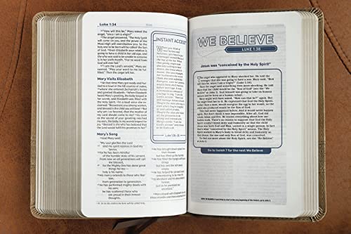 Zondervan 231285 Niv, Teen Study Bible thumb #12