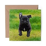 144 mm de large x 148 mm de haut