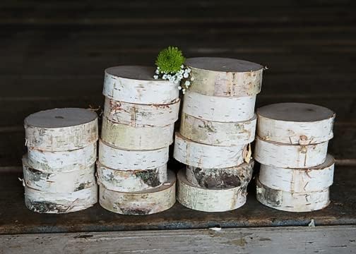 Miniatura 2 de Wilson Abedul redondo (2-3 pulgadas de diámetro x 1 pulgada de grosor, 20 piezas)