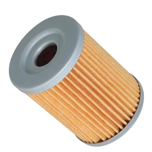 Filtre à huile moto AN400 DF125 DRZ125 16510-25C00 5RU1344000
