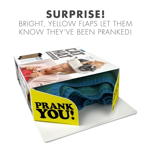 Cat Hat Prank Gift Box, Funny Christmas Gifts, Empty Authentic Prank-O Gag Present Box, Perfect Novelty Gifting Box for Pranksters, Holiday Gag Gifts for Christmas Presents - Image 5