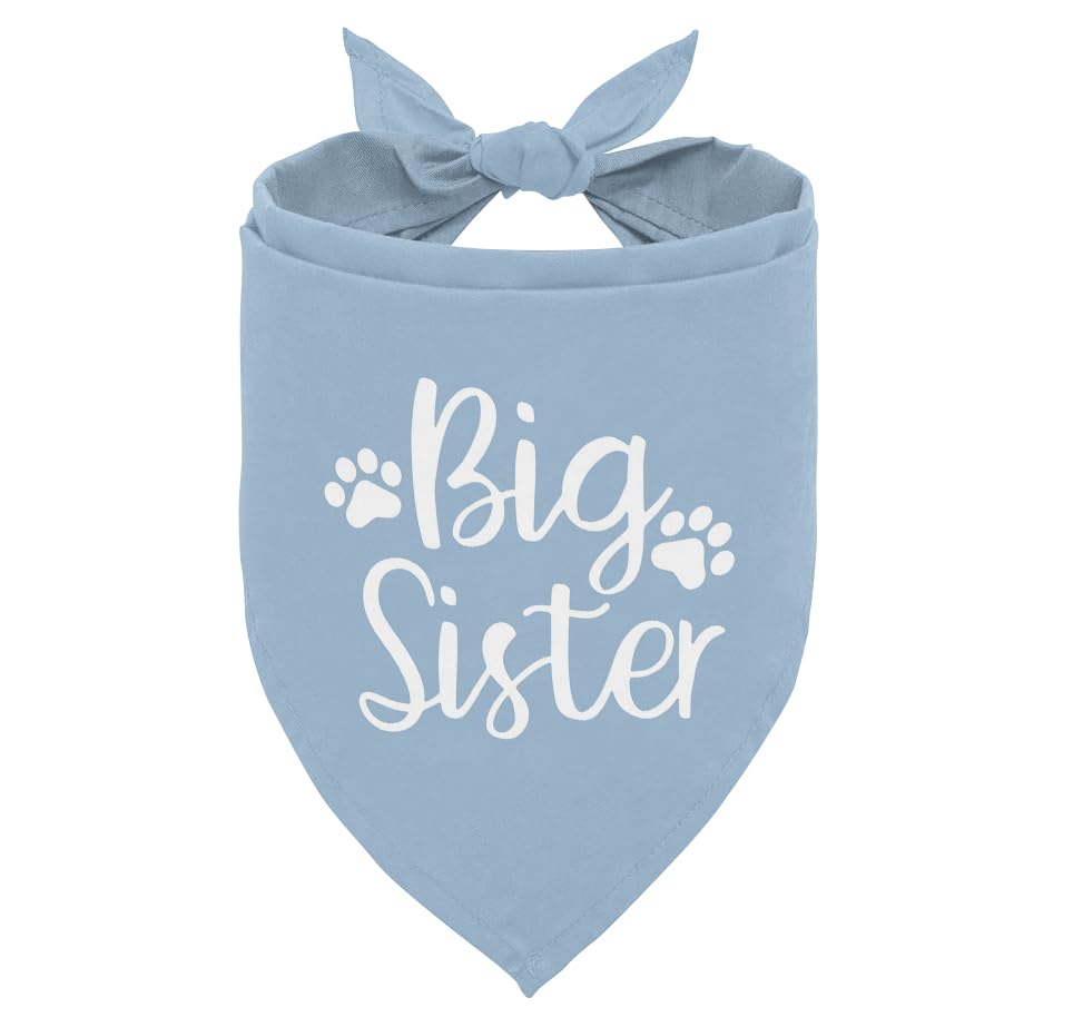 Big Sister Dog Bandana Pet Triangle Scarf for Baby Announcement Pregnancy Reveal Photo Outfit Puppy Neckerchief for Small Medium Dogs (Light Blue)
