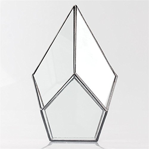 Ncyp Glass Geometric Terrarium Planter (5.5X5.5X9 Inches) Modern Handmade Diamond Shape Flower Pot For Succulent Air Plant, Office Desktop Display Box Decoration Gift (No Plants Included) #TOP4