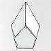 NCYP Geometric Glass Terrarium Planter - 5.5 x 5.5 x 9 Inches - Diamond Shape Flower Pot for Succulent Air Plant - Home, Office Desktop Decoration Terrarium, Black (No Plants Included)