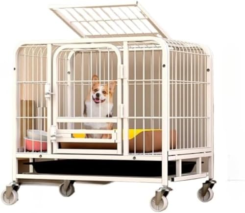 Riuuyyi Q/rO[p̏^pA^E^p̉tpP[W TChe[u pAybgpƋAyʁAȃXy[XAt[B (zCg)