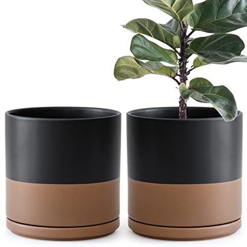 D'vine Dev Set of 2 Plants Pot, 10 Inch Ceramic Planter Pot for Plants with Drainage Hole and Saucer, Black/Speckled Tan, 94-V-E-7